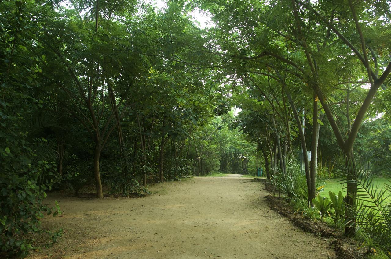 The Riverwood Forest Retreat Pench Khawāsa Eksteriør bilde